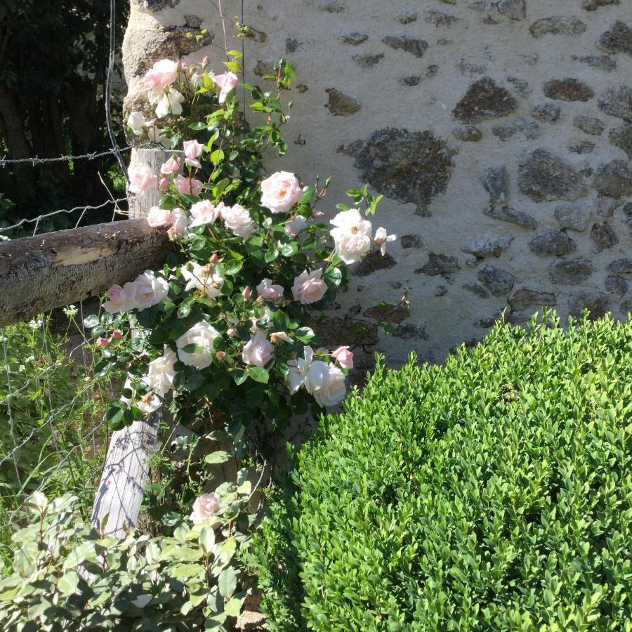 Adilly Les Epis Du Vent Bed & Breakfast エクステリア 写真